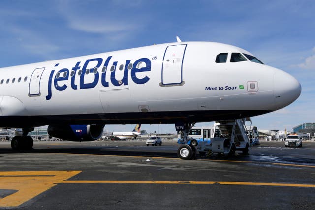 <p>Until a few years ago, JetBlue allowed emotional support dogs, cats, and miniature horses in its passenger cabins</p>
