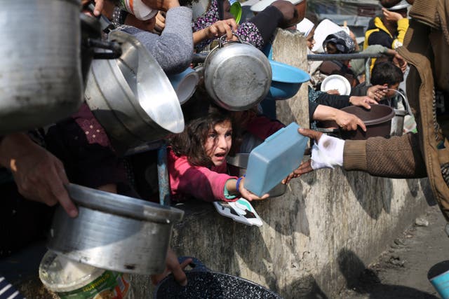 <p>Palestinians line up for free food during the ongoing Israeli air and ground offensive on the Gaza Strip in Rafah</p>