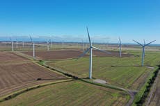 How forging ahead with Net Zero could make Britain money