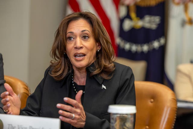 <p>US Vice President Kamala Harris speaks to the media on the federal response to the Los Angeles wildfires at the White House on January 09, 2025 in Washington, DC</p>