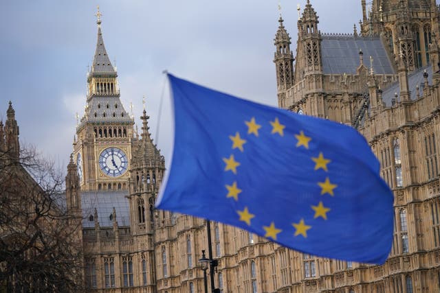 <p>There have been many demands for a scheme to allow some freedom of movement post-Brexit (Yui Mok/PA)</p>