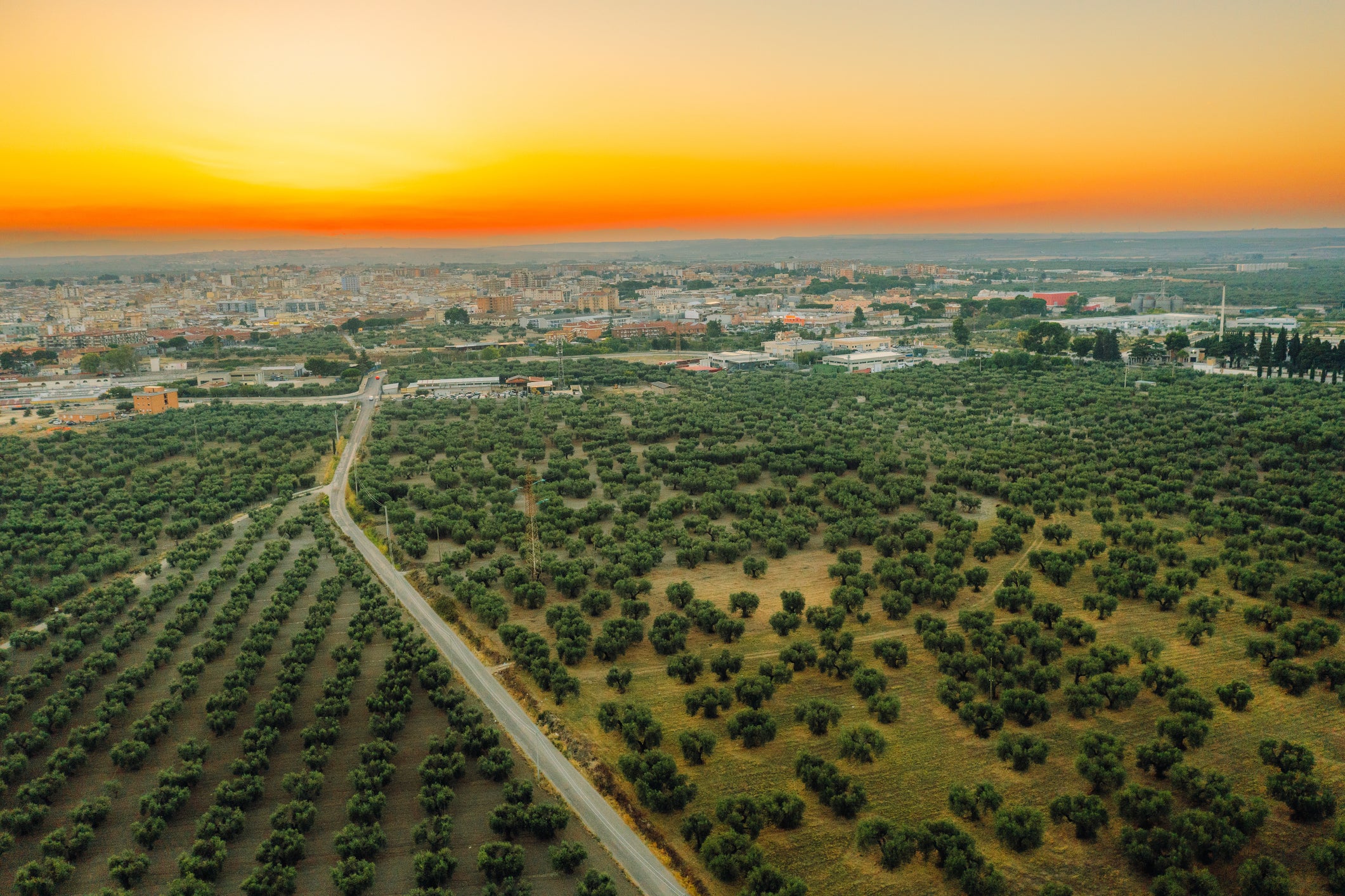 Walk along Puglia’s coastal trail from Otranto to Gagliano del Capo for olive groves and orange orchards