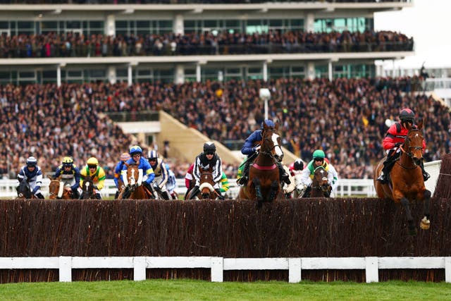 <p>Attendances have fallen for the third consecutive year at Cheltenham Festival</p>