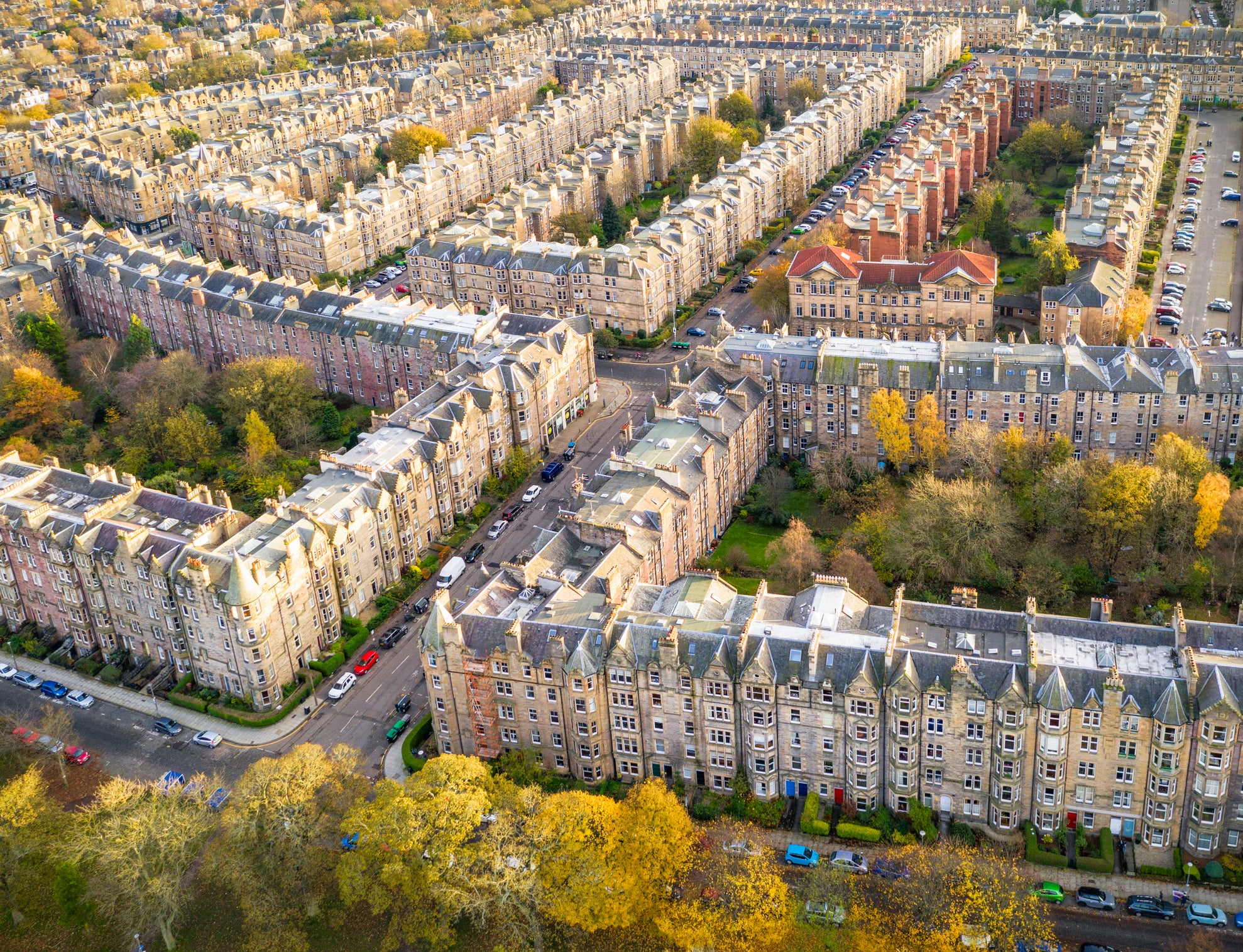 Black Ivy is found in the traditional tenement district of Bruntsfield