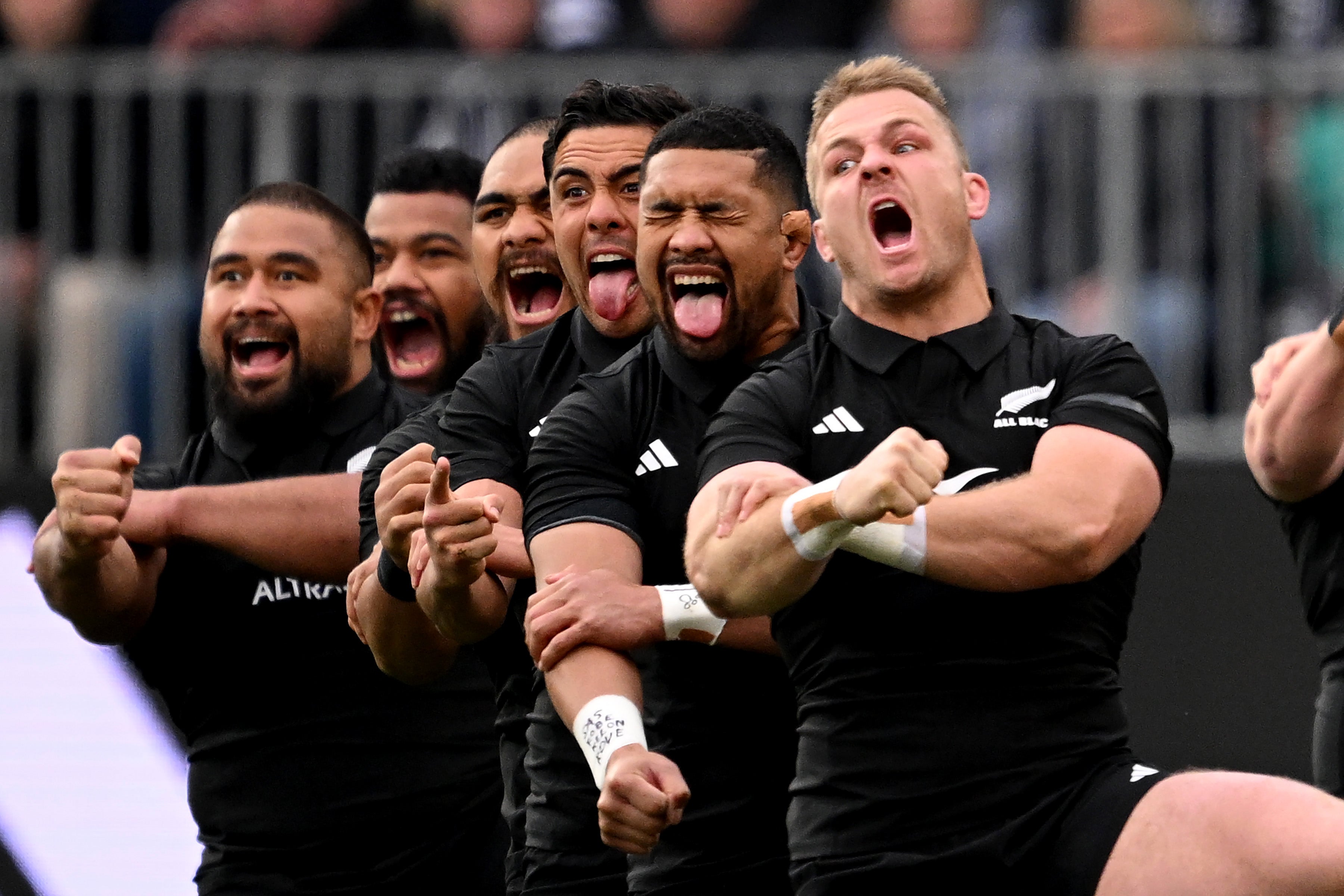 New Zealand Rugby have reported a huge loss