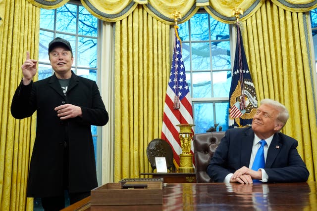 <p>‘If Trump loses his tariff battle in the courts, it is Musk’s brief and constitutionally questionable tenure at the White House that could have a farther-reaching legacy’</p>