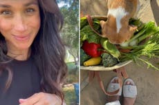 Give Meghan a break – it’s little ‘cheats’ that make the social whirl go round