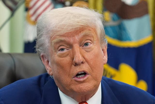 <p>Donald Trump</p>