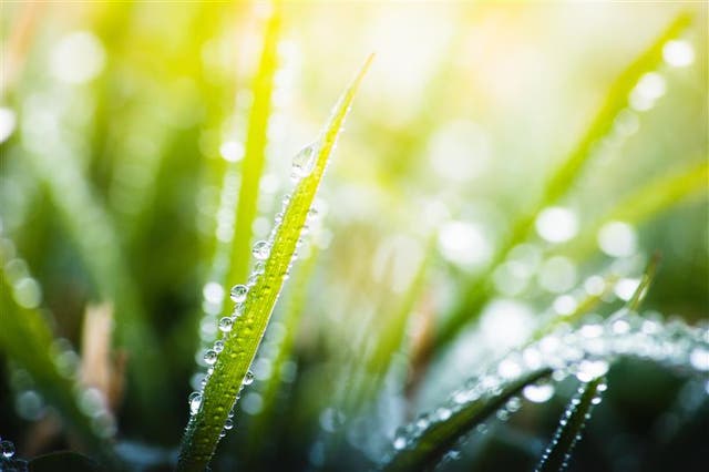<p>Sustainability omnibus package: What's changing and how can businesses get onboard? </p>